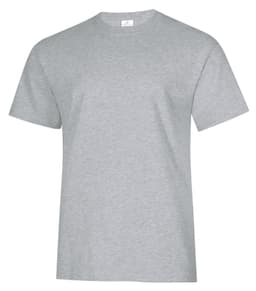 ATC™ EVERYDAY RING SPUN COTTON TEE view 3