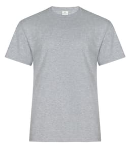 ATC™ EVERYDAY RING SPUN COTTON TEE view 1