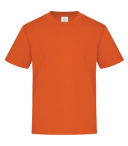 ATC™ EVERYDAY RING SPUN COTTON YOUTH TEE in Orange