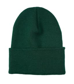 ATC™ EVERYDAY KNIT CUFF TOQUE in Athletic Green