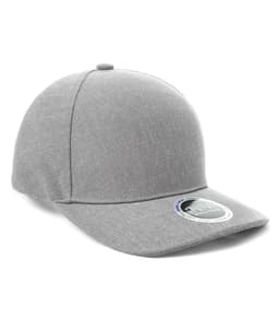INIVI TAHOMA 2 PANEL CAP in Light Heather