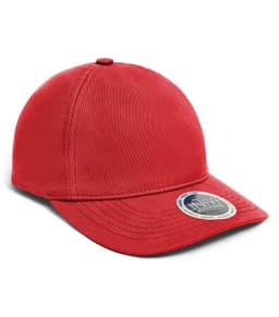 INIVI ENZYME 2 PANEL CAP in Red