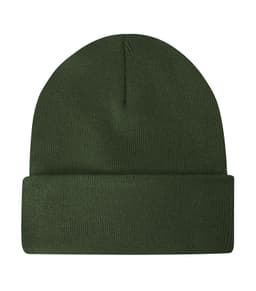 ATC WeRK™ FLEECE LINED KNIT CUFF BEANIE in Dark Spruce