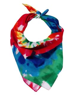 ValuMask Bandana view 2
