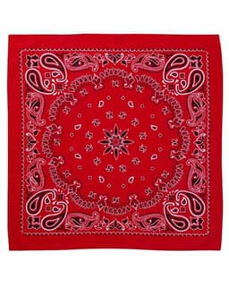 ValuMask Bandana in Red Paisley